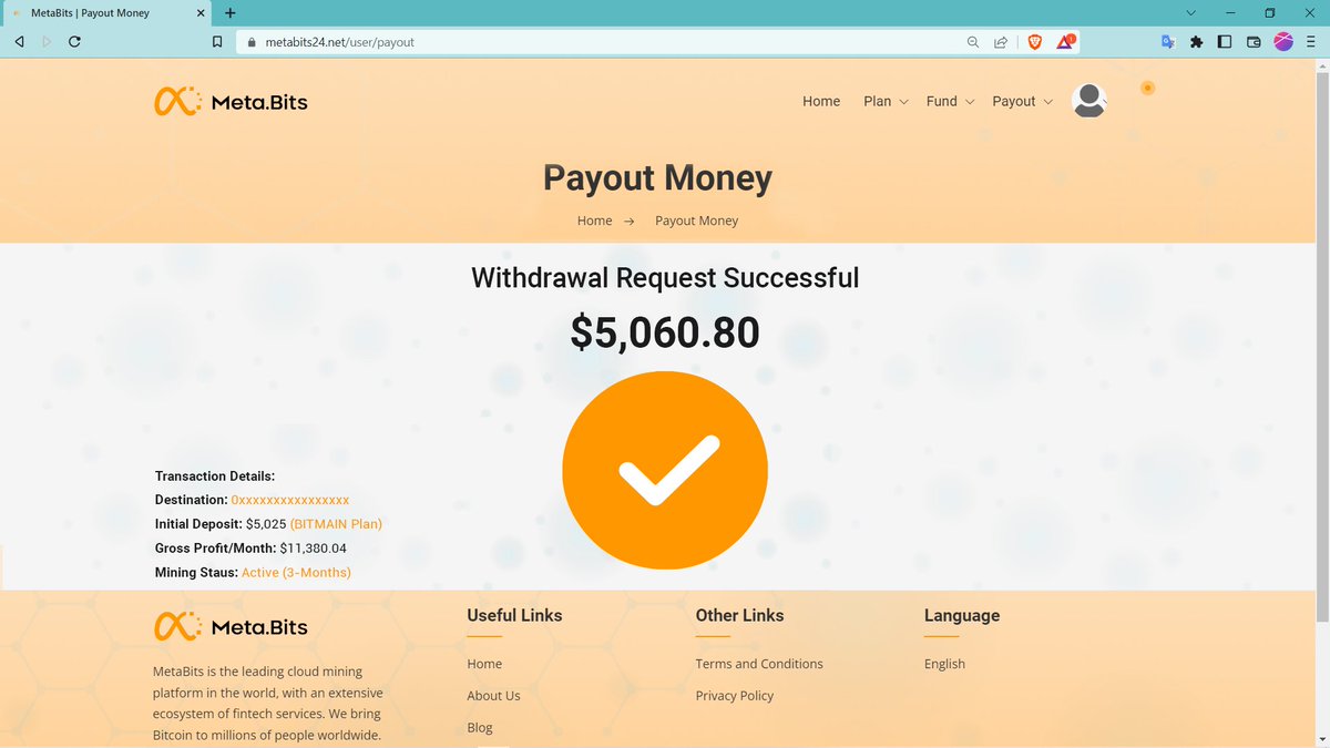 Metabits (Miner) ⛏️💰 tweet media
