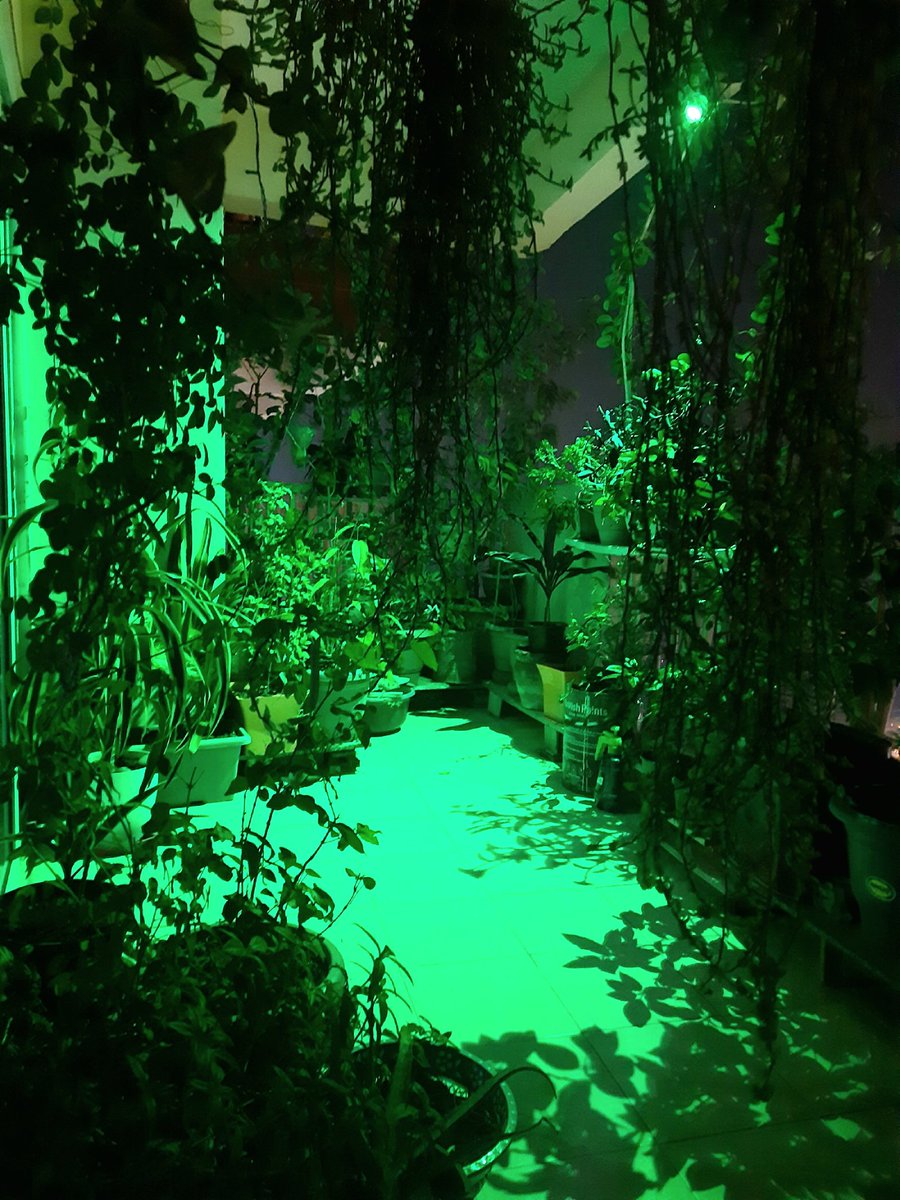 arpgraph's tweet image. 