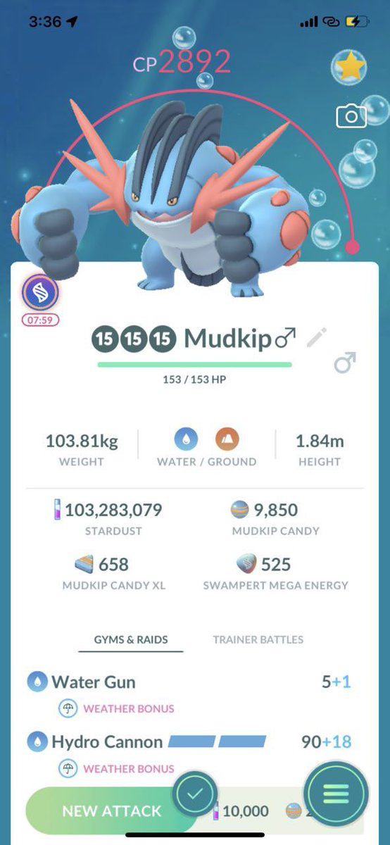Cloudy9Pokemon's tweet photo. Completion Mega https://t.co/5qjJHjJ2YK
