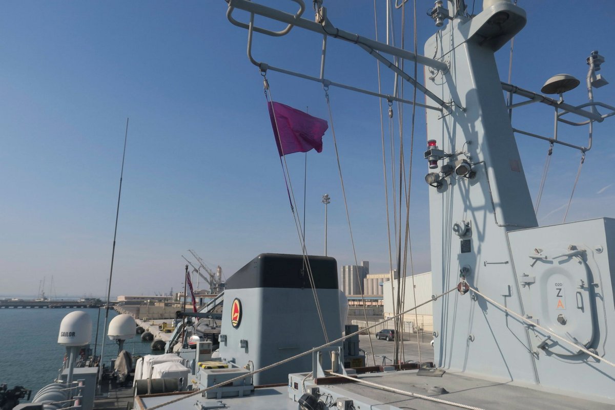 HMS Bangor (@hmsbangor) on Twitter photo Flying the purple flag to show our support for disabilities and raising awareness on International Day of Persons with Disabilities. 💪🟪
<a href="/RN_Enabled/">Royal Navy Enabled Network</a> <a href="/RN_Neurodiverse/">Royal Navy Infinite</a>
#ImEnabled #PurpleLightUp Flying the purple flag to show our support for disabilities and raising awareness on International Day of Persons with Disabilities. 💪🟪
<a href="/RN_Enabled/">Royal Navy Enabled Network</a> <a href="/RN_Neurodiverse/">Royal Navy Infinite</a>
#ImEnabled #PurpleLightUp