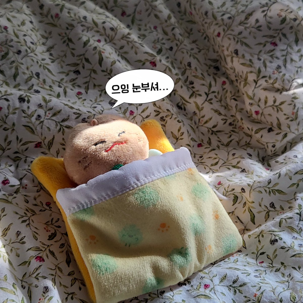 peach__fox's tweet photo. .                                              햇빛 가려주는 
낮잠자는 잊냥이                        쏘스윗잊쁘니 https://t.co/q6bhAOK5Tq
