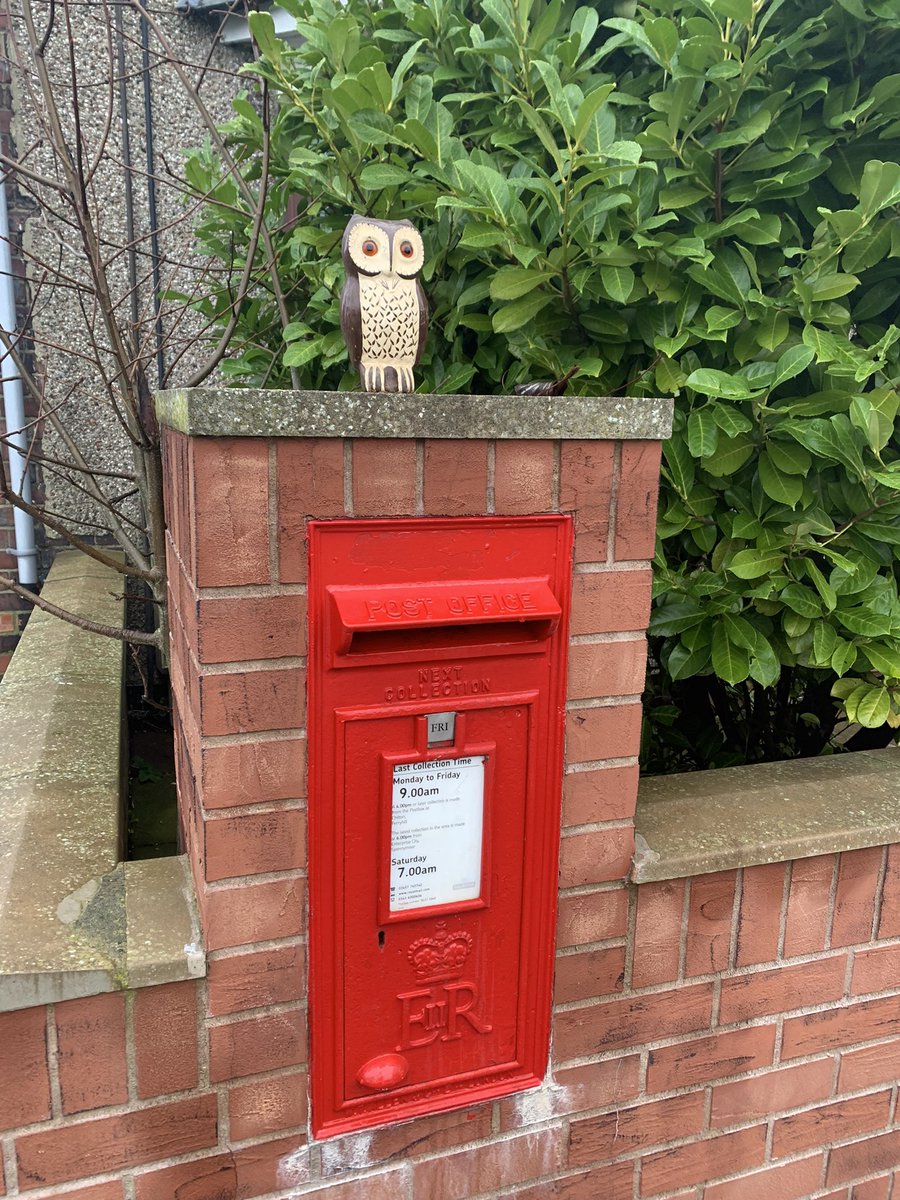 My husband collected a Vintage Brownie Owl for me yesterday in County Durham, and send me this photo of her perched on a lovely wall box 🦉❤️ #postboxsaturday