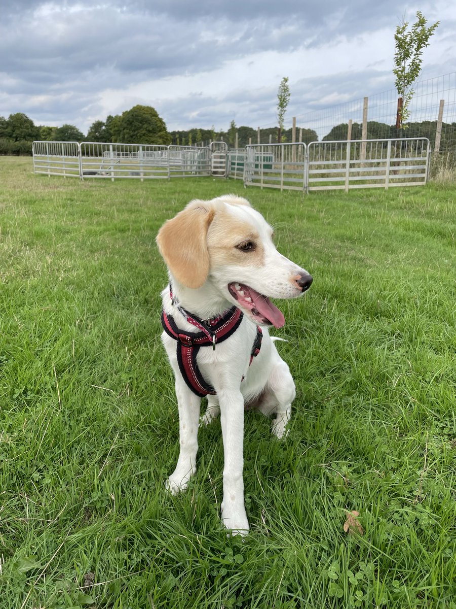 Rebecca Moore tweet media