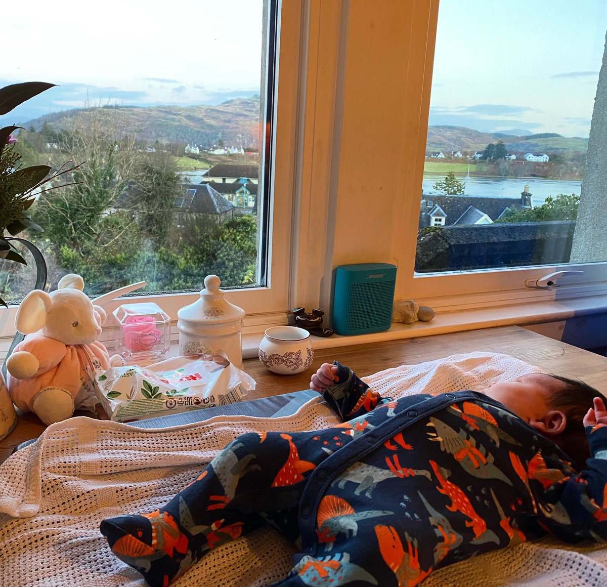 Dr Stacey McGowan Holloway tweet media