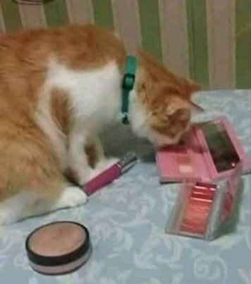 Ready for first date😅