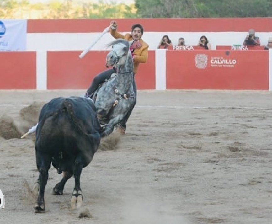 Abus_Rituel200's tweet photo. La saison tauromaniaque continue au #Mexique et les chevaux aussi  (Ici à #Calvillo) servent de bouclier aux humains si "courageux"!
Ça se passe aussi en #France !

#BastaLaTortura #corridas #cheval 
#Abolissonslacorrida
#LeaVicens #réalité #StopCorrida #rejon https://t.co/7qS4hGLdlJ