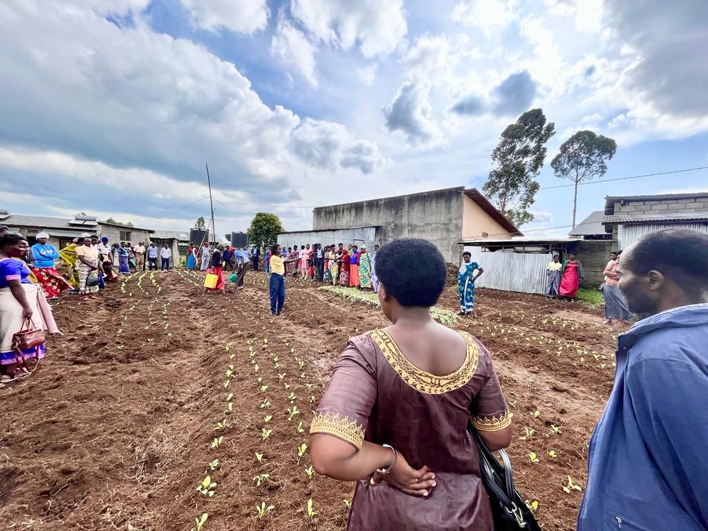 <a href="/PrideFarms_Ltd/">Pride Farms Ltd.</a> farmers training in organic agricultural practices. Thanks #Zamura farm for joining the organic movement 💚
 Good agriculture is the one with #zerochemicals.
#rwandaorganic