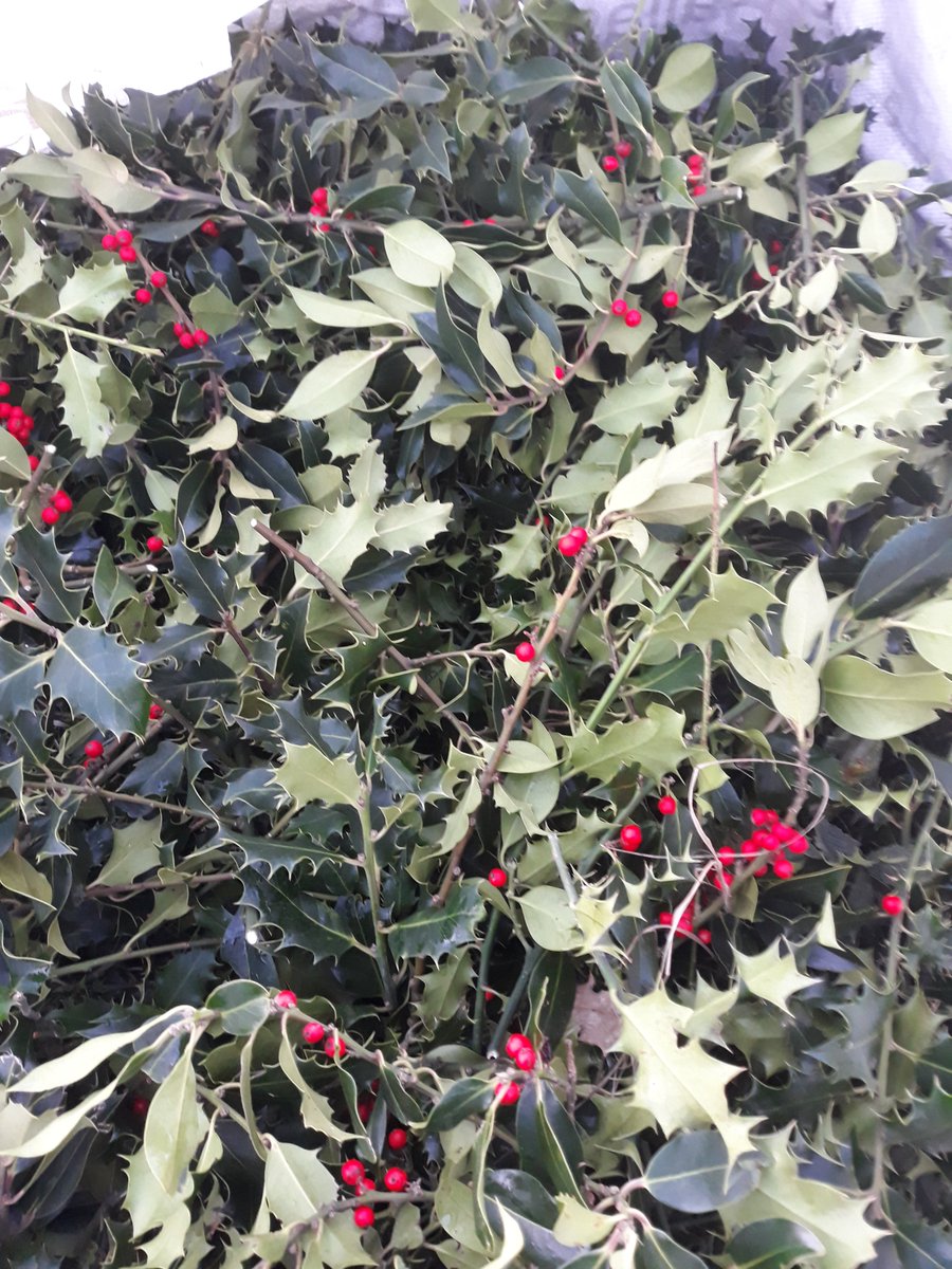 Swaffham Market Superintendent tweet media