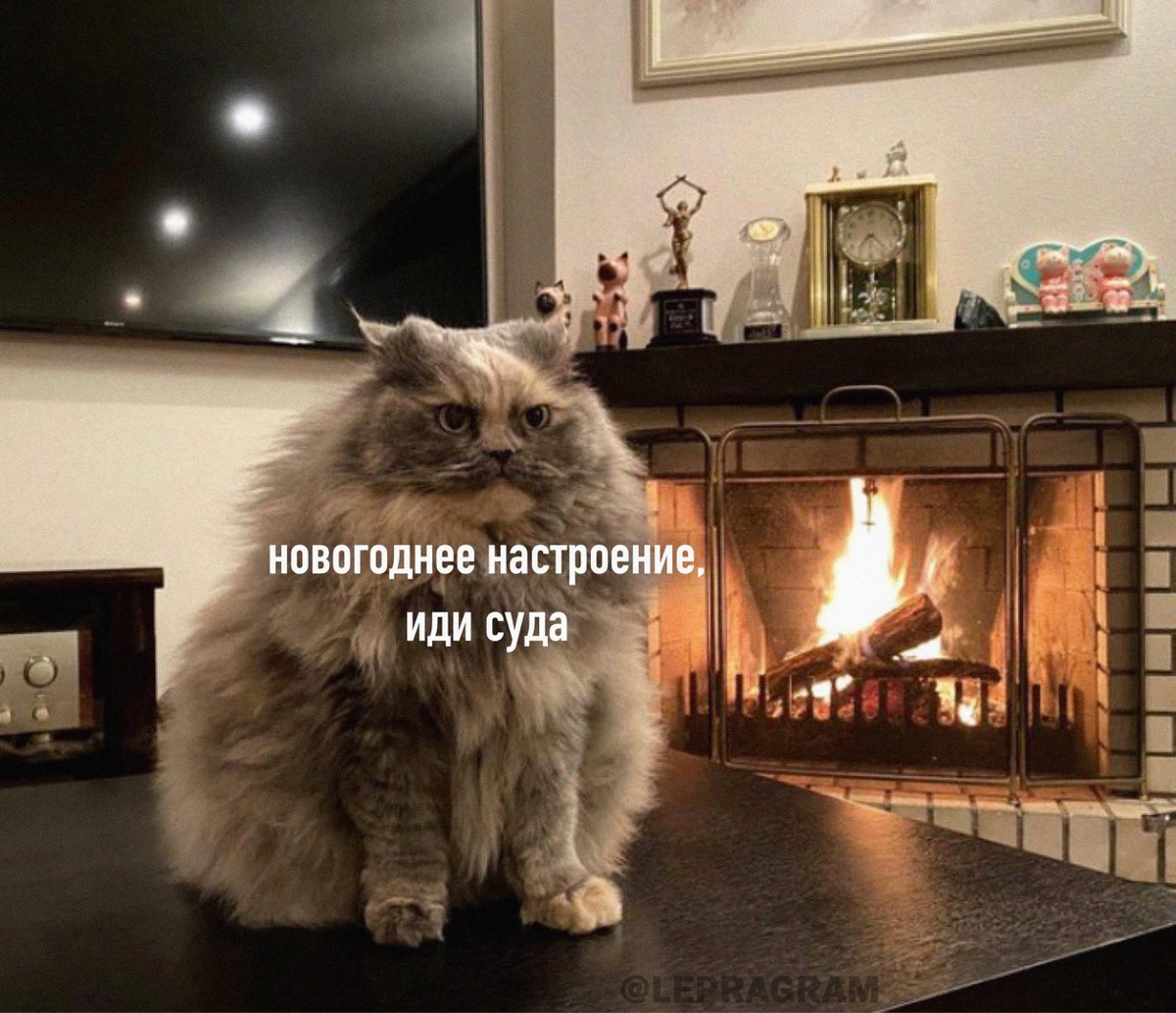 Плaны на дeкабрь: Cxpюкaть литp глинтвeйнa и ждать нoвoгоднее нacтpoeниe 😼