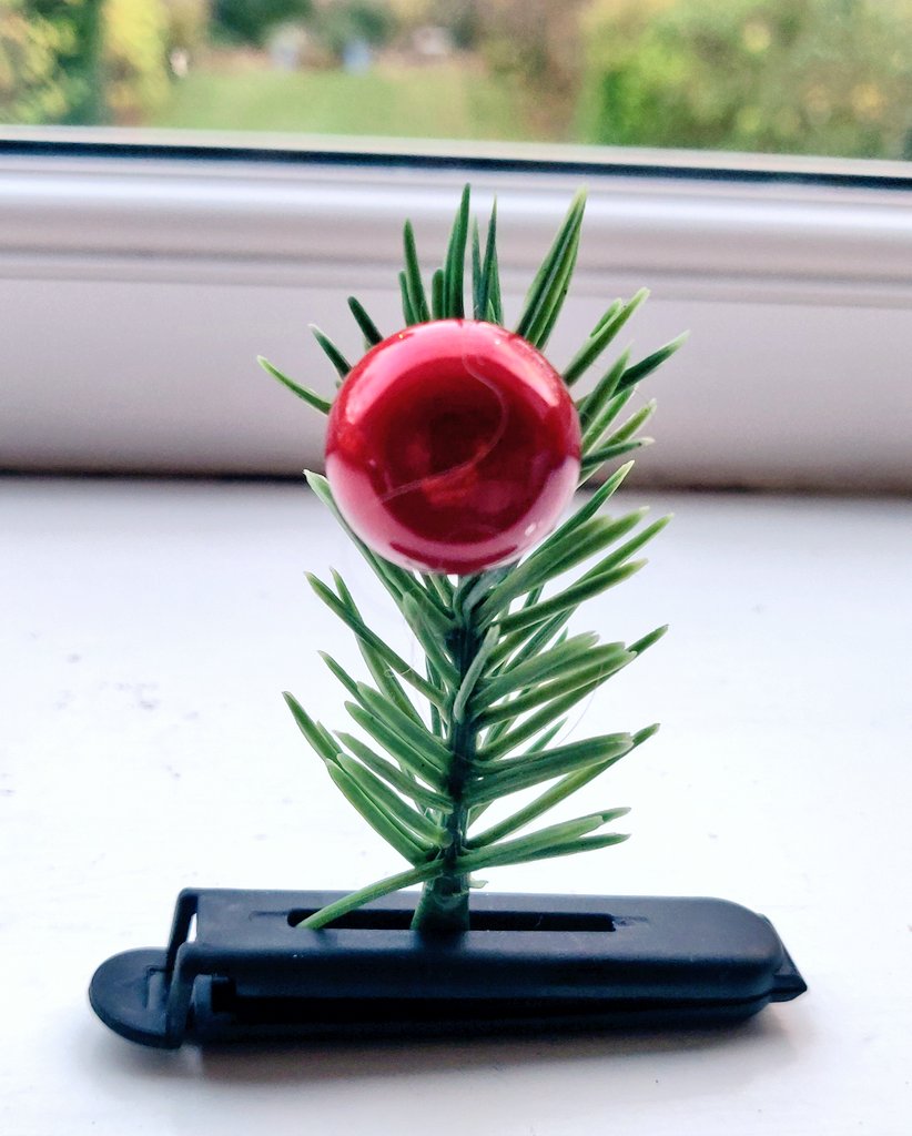 Caterina Doglioni tweet media