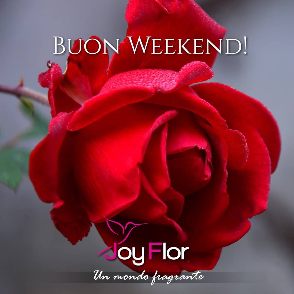💐Buon Weekend!💐
⏳#2880minuti
La sapienza è come un baobab; una sola persona, a braccia aperte, non può stringerne il tronco.
Proverbio Africano
💻joyflor.it
Joyflor srl #2880minuti #buonweekend