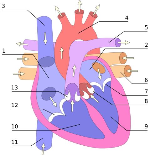 RNClinton's tweet photo. Challenge Yourself - Pick a number and tell us what it is!
#MasculinitySaturday #SpotifyWrapped https://t.co/sXzMg7XEtX