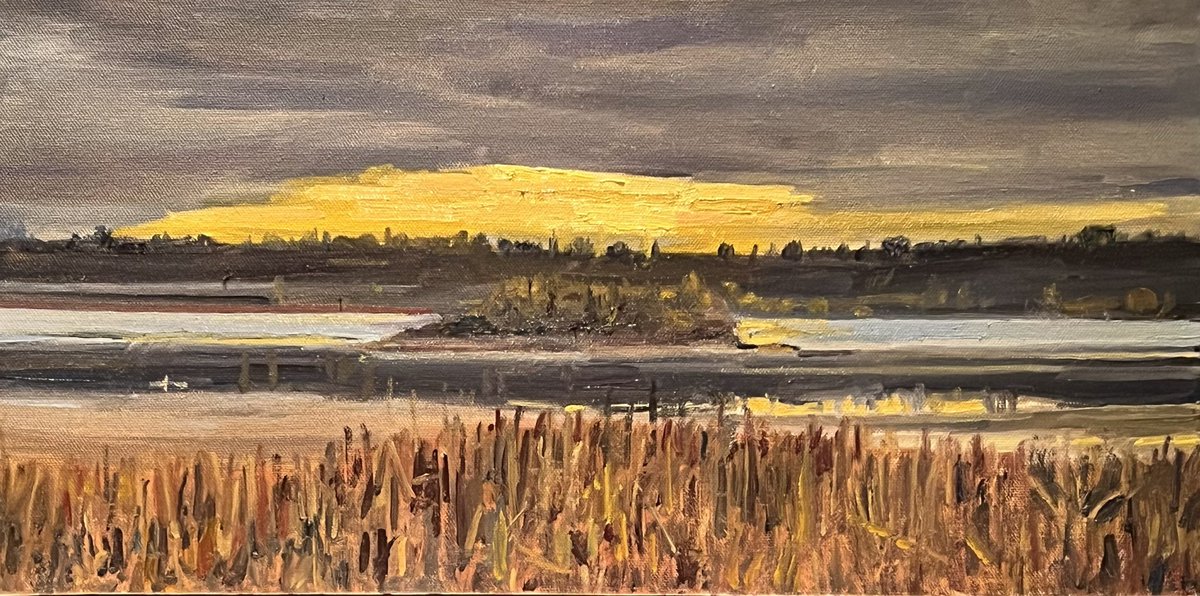 A new #painting just off the easel, featuring an early-morning view of <a href="/RBGCanada/">Royal Botanical Gardens</a>’s Cootes Paradise in #HamOnt. (10x20 inches, oil on canvas)