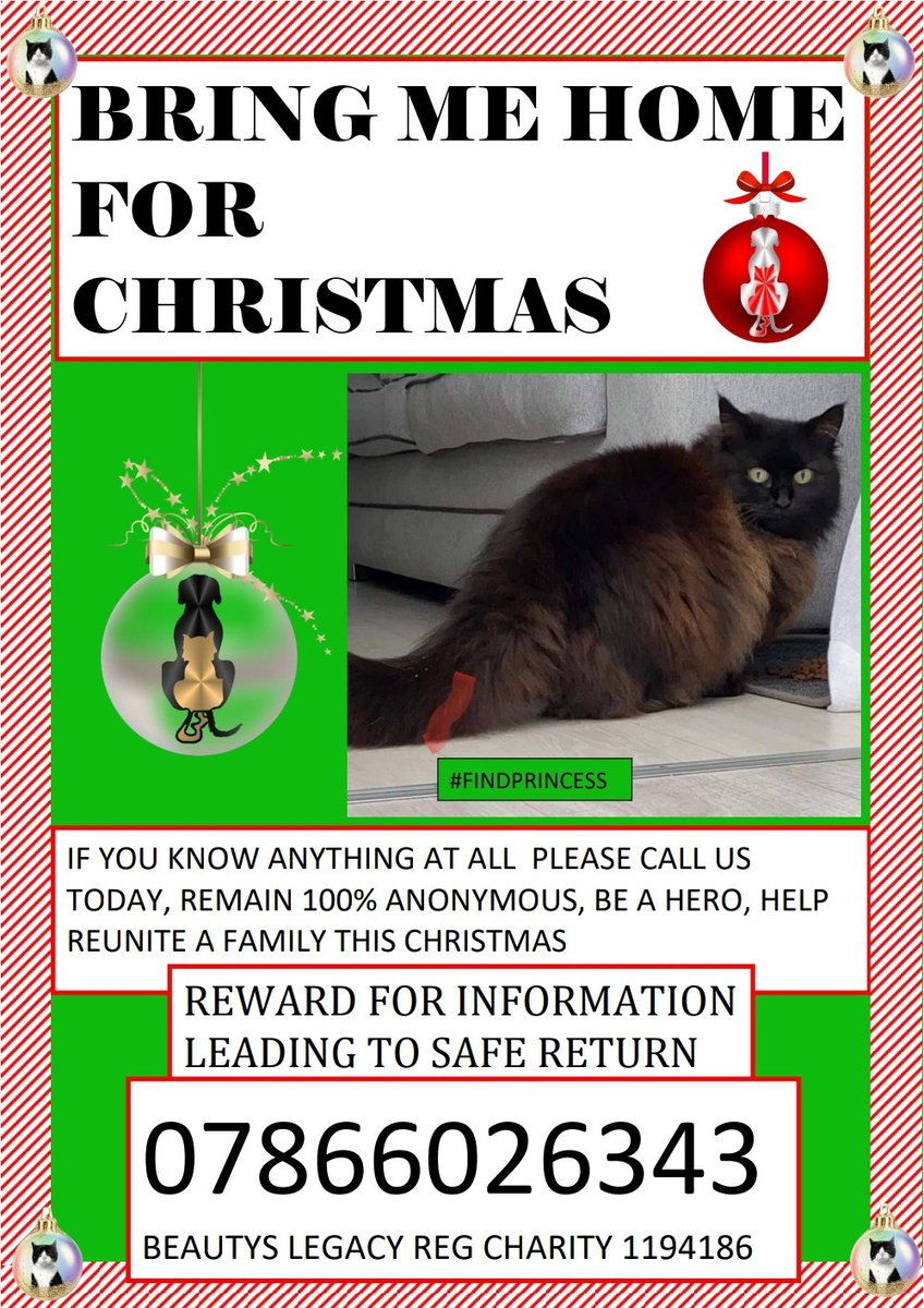 beautys_legacy's tweet photo. ๐DAY 3 OF OUR ADVENT CALENDAR๐
๐
PLEASE SHARE FAR AND WIDE FOR PRINCESS๐
Adult female black maine coon cat, neutered and microchipped, stolen on 12/08/22 from Aylesbury HP21
Praying for a Christmas Miracle for Princess ๐
#bringmehomeforchristmas #findprincess https://t.co/7y1tPyCs95