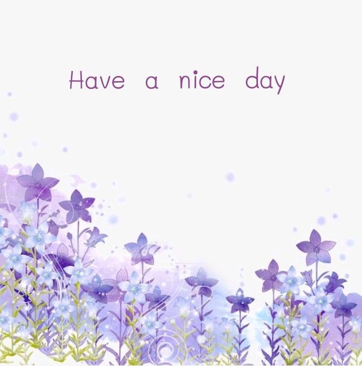 Parveen Kader On Twitter ArmanNeyazi AGMRedMylene Assalamu Alaikum parveen-kader-on-twitter-armanneyazi-agmredmylene-assalamu-alaikum