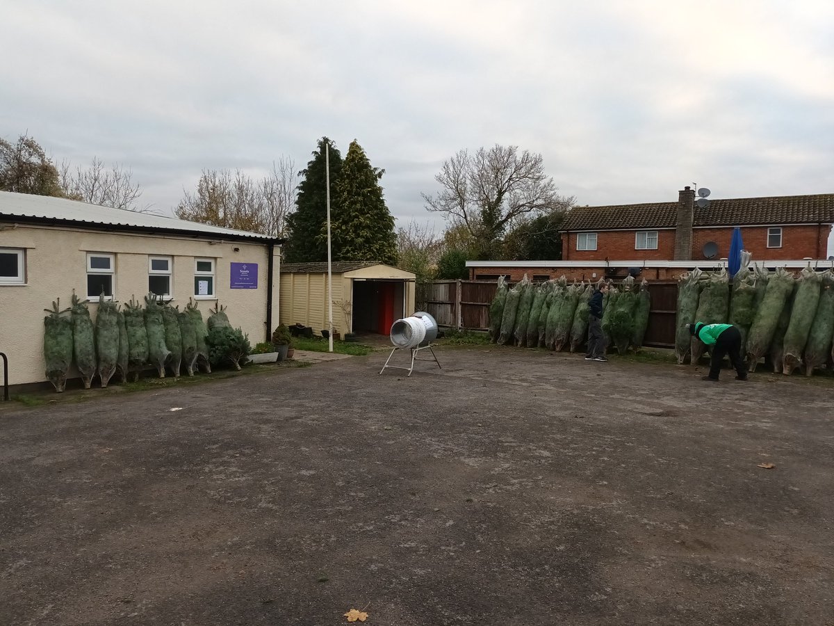 StockwoodScouts's tweet photo. Today is the day, trees out and ready to sale!!
See you soon ...... https://t.co/6TO3l1Ezc6