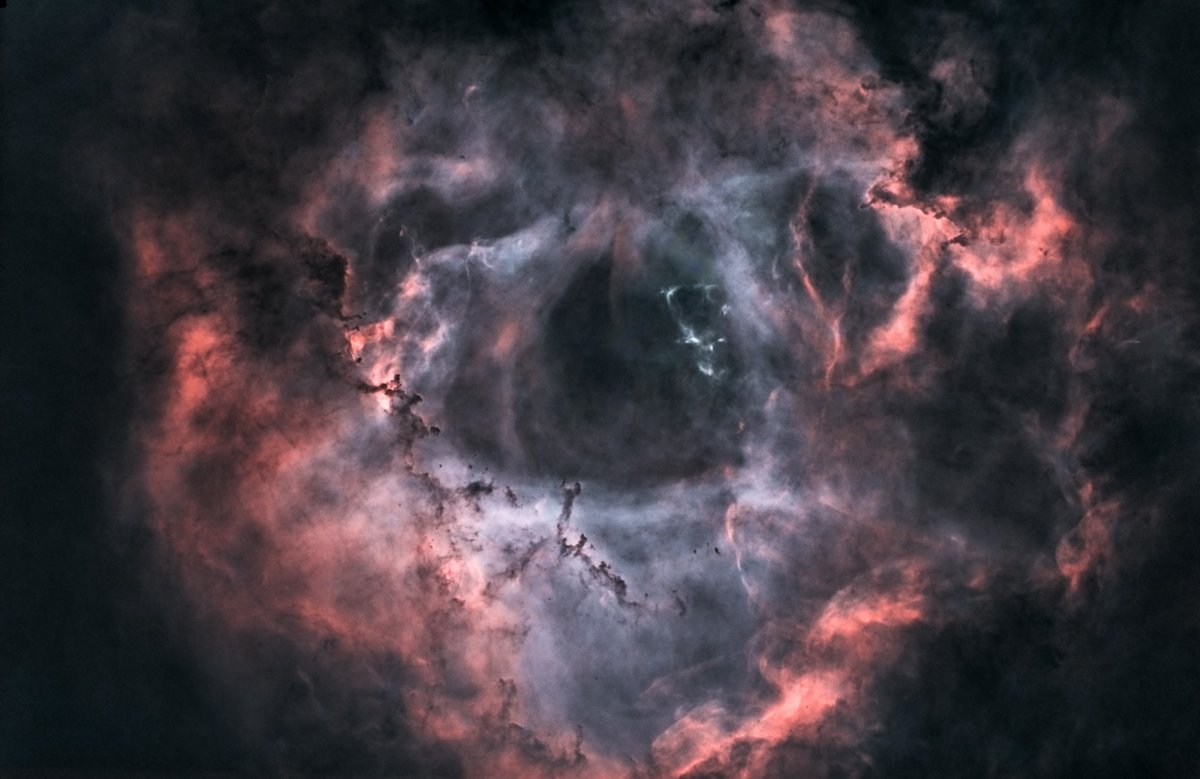 De Rosettenevel kregen we van Niek Damen (Instagram -  backcorner_astronomy)
In 2 verschillende uitvoeringen. De foto's zijn groot met specificaties te zien op 
zenitonline.nl/rosette-nebula/