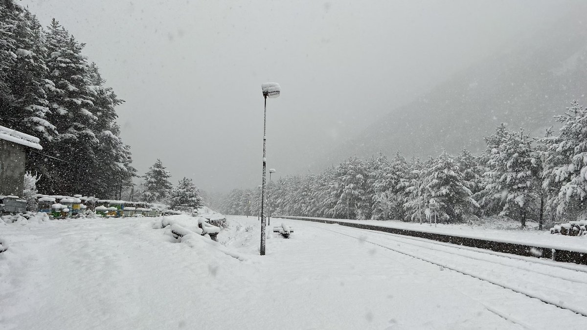Train historique spécial vintimille - Breil - tende - borgo san dalmazzo. Organisé par l’écomusée du train des merveilles avec la fondation <a href="/fsitaliane/">Ferrovie dello Stato Italiane</a> . La neige est de retour sur la ligne des merveilles en abondance <a href="/unecto_info/">UNECTO</a> @TERSUD_SNCF