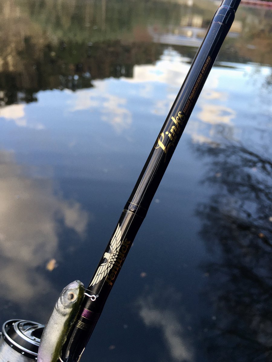 hamaone_F's tweet photo. 今更ではありますが、ホバスト初フィッシュ😭亀山の朝マズメで連続ヒット🎣
ノーカンな感じが苦手でしたが、YouTube見て少しコツを掴めたようです😊

#スーパーホバリングフィッシュ 2.5" https://t.co/WaPqrCmHK1