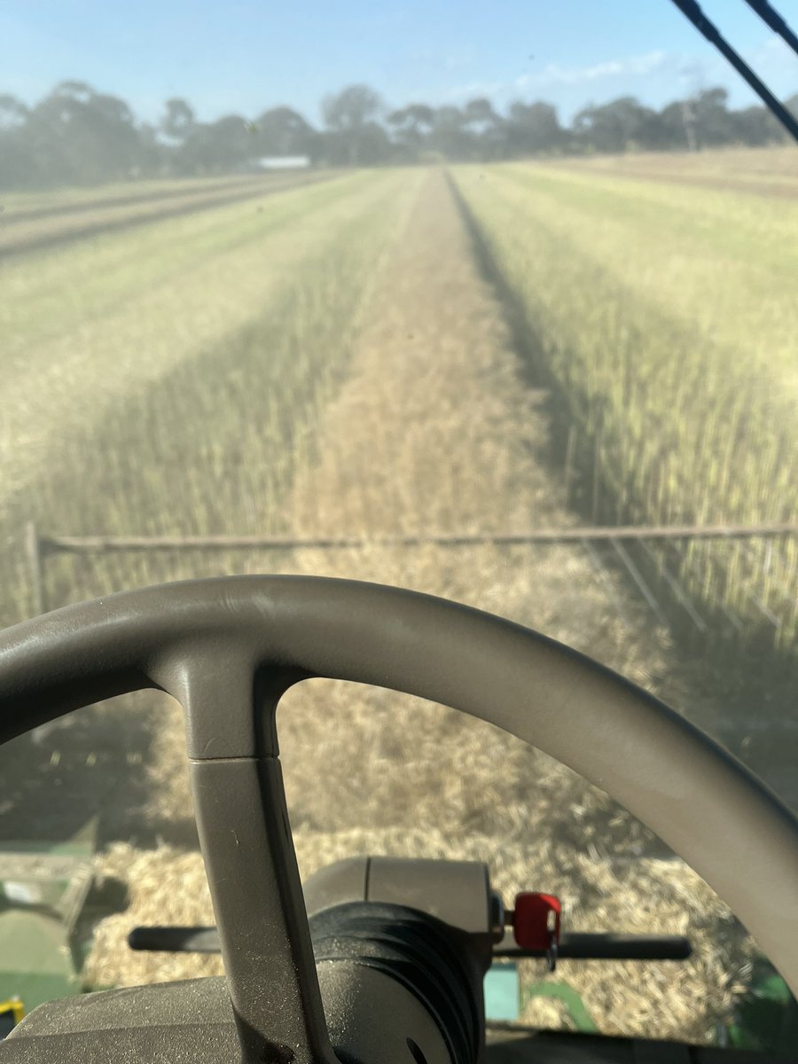 Harvest is away in southern Western Vic. Nuseed Raptor doing ok considering lacking abit of N.