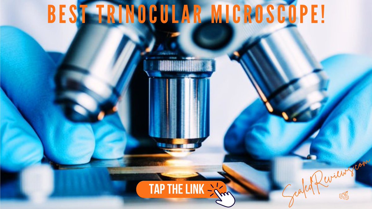 ScaledReviews's tweet image. Best Trinocular Microscope!

We&apos;ve researched and found the three best trinocular microscope on the market!

#trinocularmicroscope #besttrinocularmicroscope #trinocular #amscopetrinocularmicroscope #trinocularheadmicroscope #scaledreviews

scaledreviews.com/trinocular-mic…