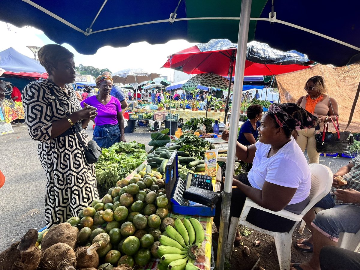 En direct du marché RANSAY de Fort de France en Martinique à la rencontre des agricultrices. 

Toutes me racontent leurs difficultés et leurs revendications et leurs conditions de travail. 

Leur lutte pour la terre et pour une agriculture autonome est d’une force incroyable.