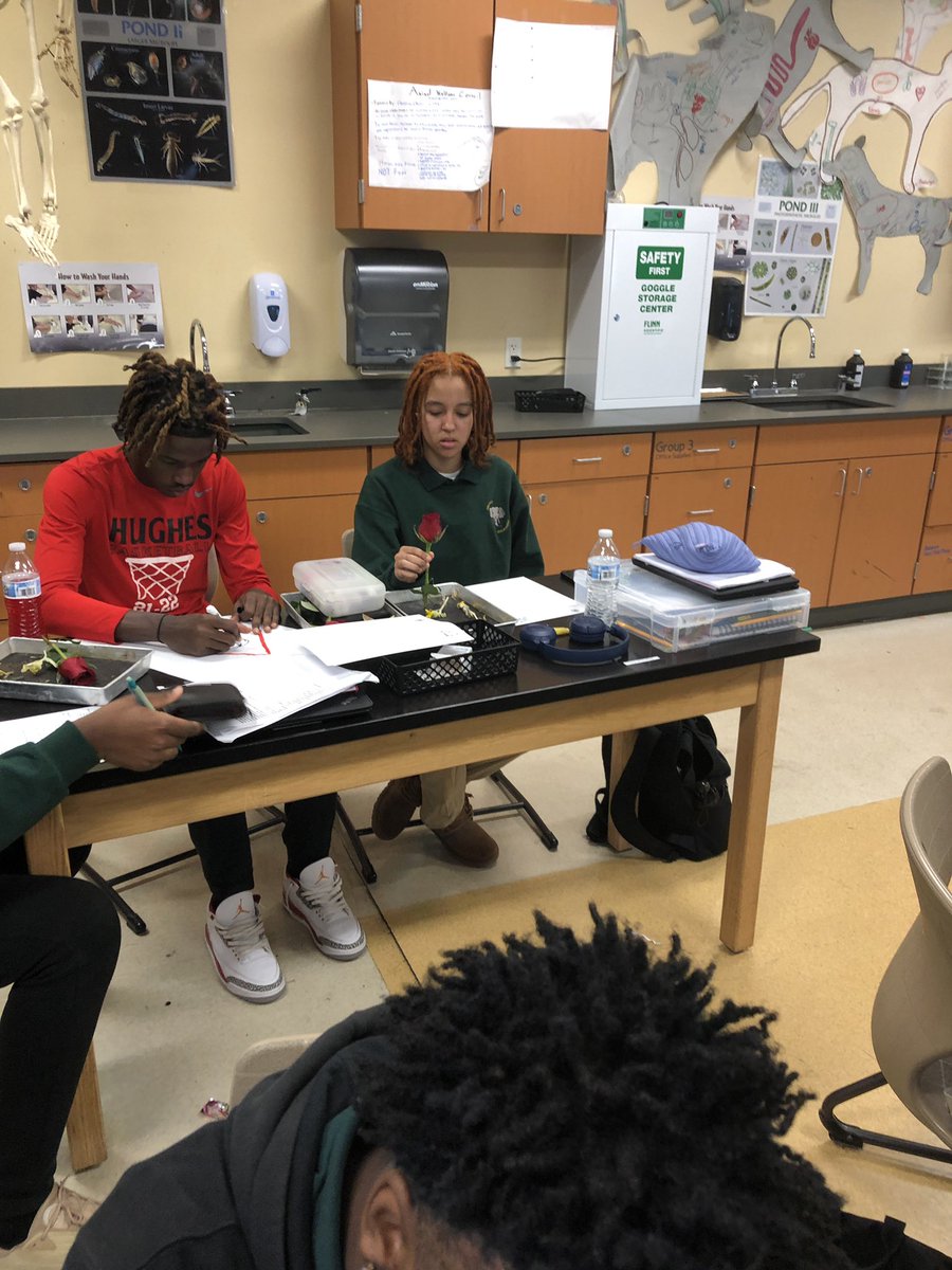 CPSHoward's tweet photo. Juniors enjoying discovery of plant anatomy and reproduction today. #zooacademyrocks #zooacademycps #iamcps #hughesstem #thebigredway https://t.co/Yhx44aWoK5