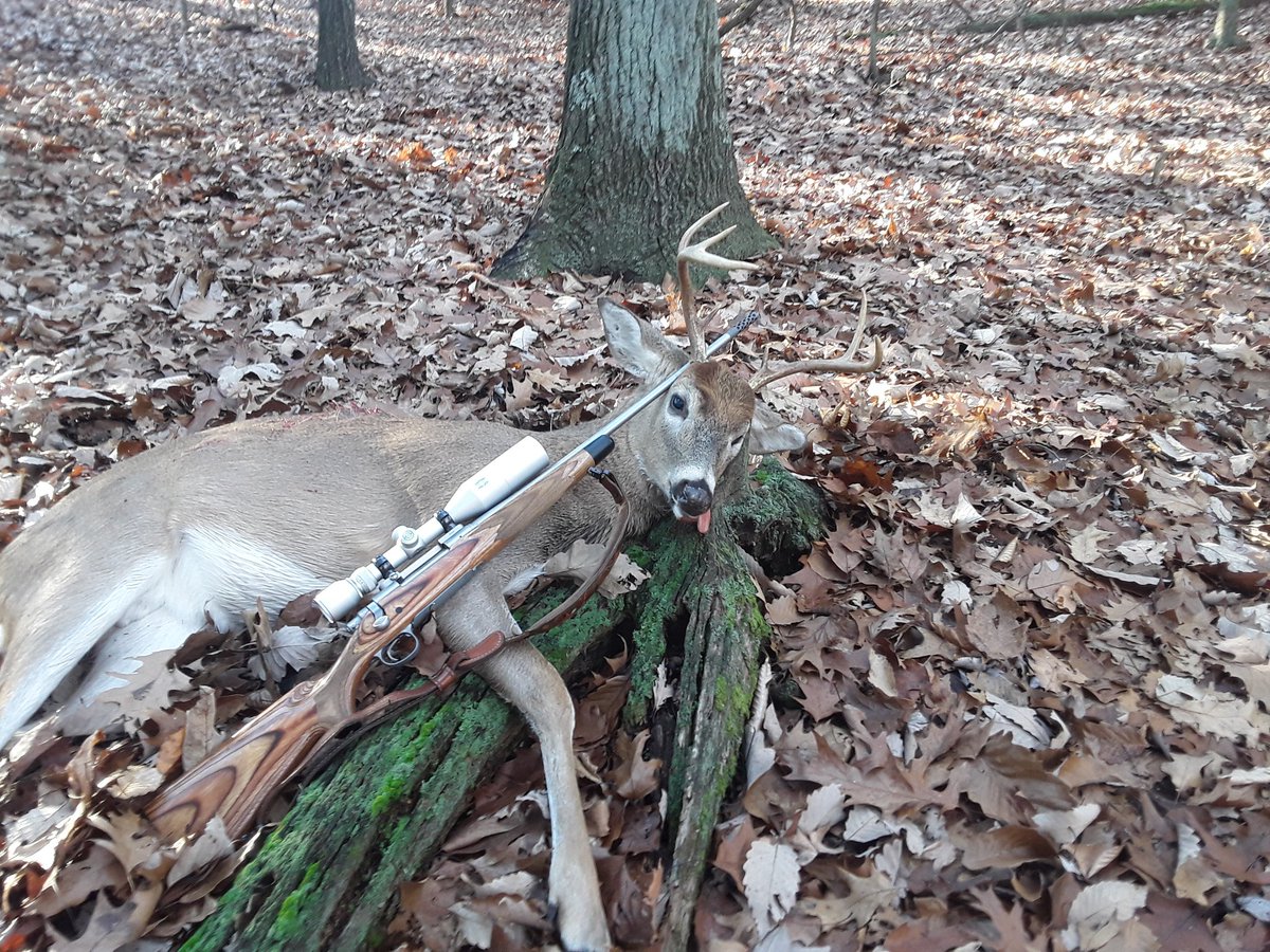 Elcadritzel's tweet photo. @DruryOutdoors @LeupoldOptics @WinRepArms @tactacam Rem 700 .270 https://t.co/Qjku9FeaJo