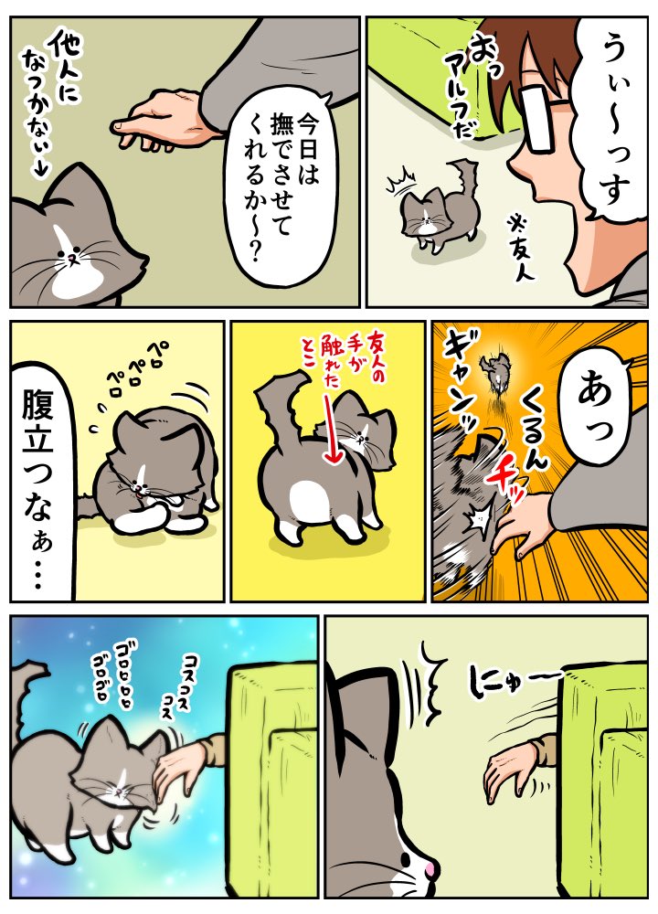 飼い主特権でとるマウントは気持ちが良いねえ! 