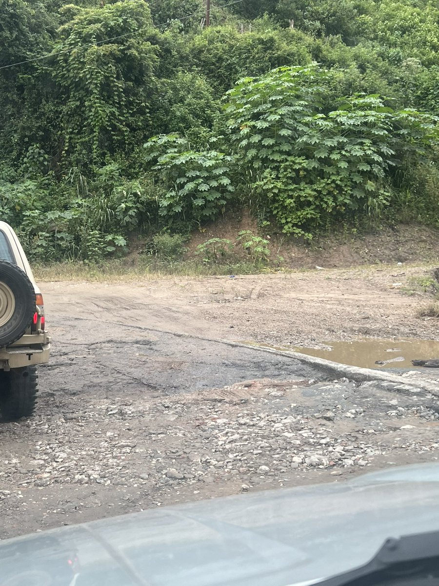 LealA_Lidia's tweet photo. COLAPSO EN ALTOS MIRANDINOS!!! @traffiCARACAS @Sandiegoaltos @LaMaitana @ElTequeno @ReportElectrico @dmurolo No hay paso en la Panamericana por fuerte derrumbe y La Mariposa incapacitada para atender todo el tránsito de la zona, @HectoRodriguez es URGENTE ATENDER LA MARIPOSA! https://t.co/pngKpZwsdF