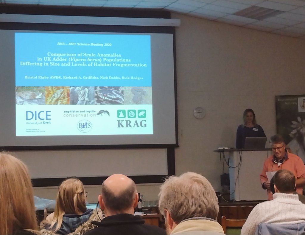 Our next #HerpJSM speaker is <a href="/BristolRigby/">Bristol Rigby</a>, talking about her research comparing scale anomalies in Adder populations of different sizes and levels of habitat fragmentation 🐍