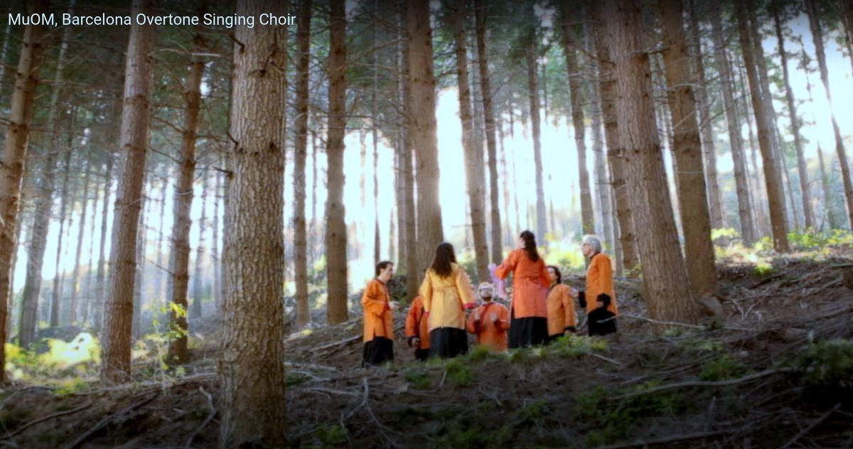 ArchivedShows's tweet photo. Introduction to Overtone Chant: MuOM, the Barcelona Overtone Singing Choir: https://t.co/Xa3CdvKfBw
#Chant #Overtones #OvertoneChant #MuOM #BarcelonaOvertoneSingingChoir #HarmonicOvertoneSinging https://t.co/k0rghJLmwi