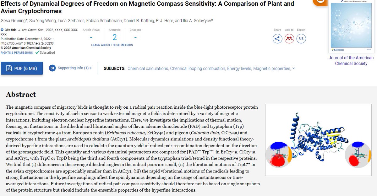 New article about the effects of dynamical degrees of freedom on magnetic compass sensitivity. Congratulations to @GesaScience for hew @J_A_C_S publication! Coauthors include @siuyingalice @GerhardsLuca and @FabianSchuhmann. Read more here: doi.org/10.1021/jacs.2….