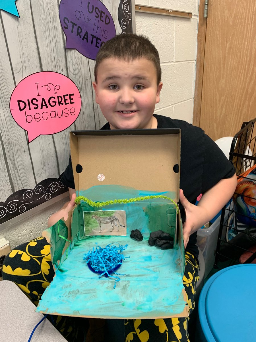 PonaMiss's tweet photo. Ecosystems PBL 🌳🌊
#millridge https://t.co/wIchnXwkuc