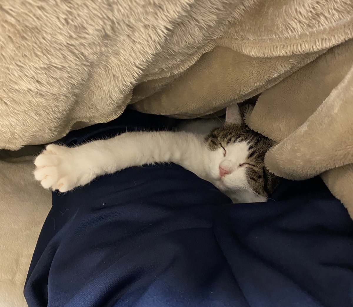 一緒に寝たよ〜🥱💤