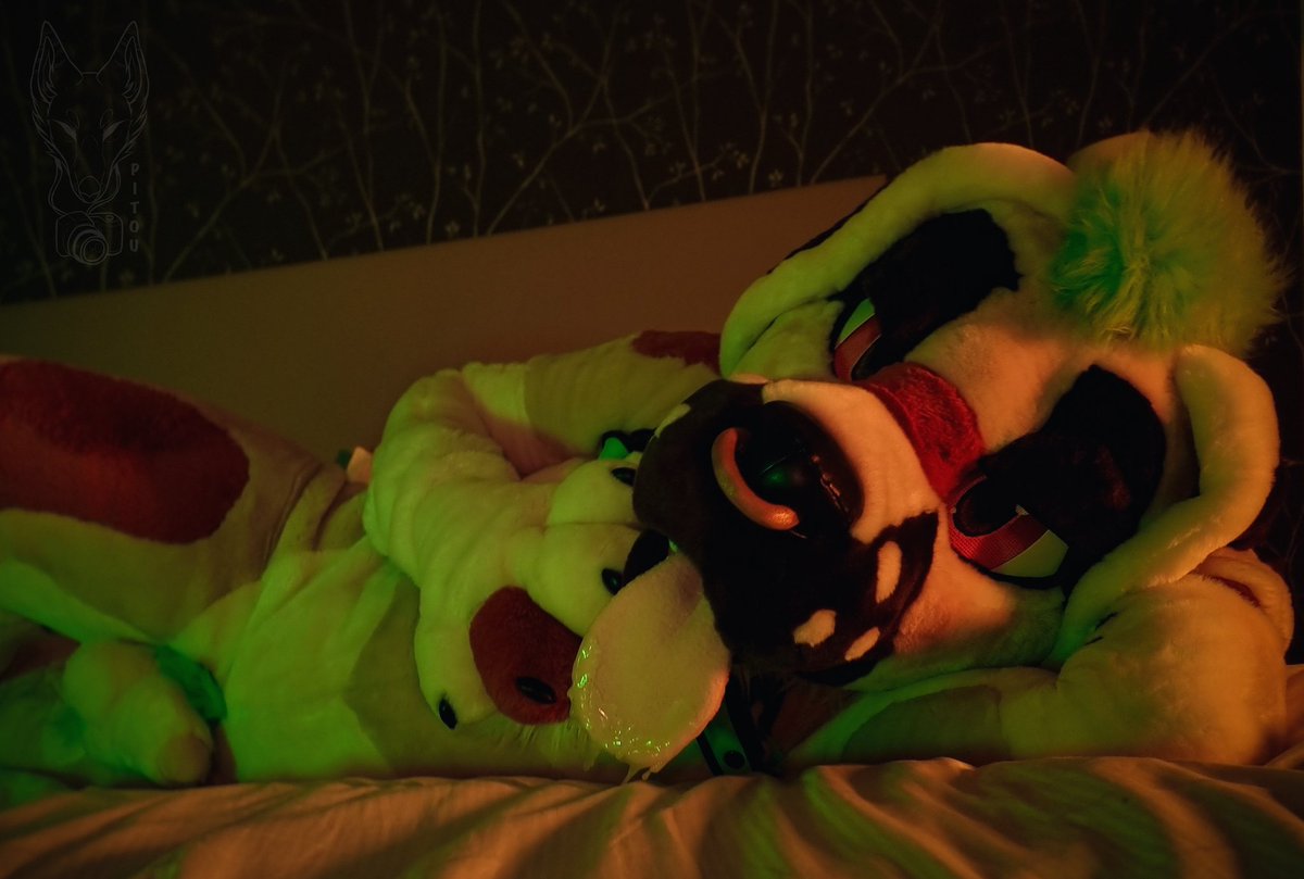 📸 Series #22 Max Kangal 🔞
Bark bark! 👅💦
*You're covered in drool* 😈

With <a href="/BigDadBork/">Max Kangal</a> 
🔁 For a drooling lick

More photo 
t.me/rikoupitou

Full set 
onlyfans.com/464740784/pito…