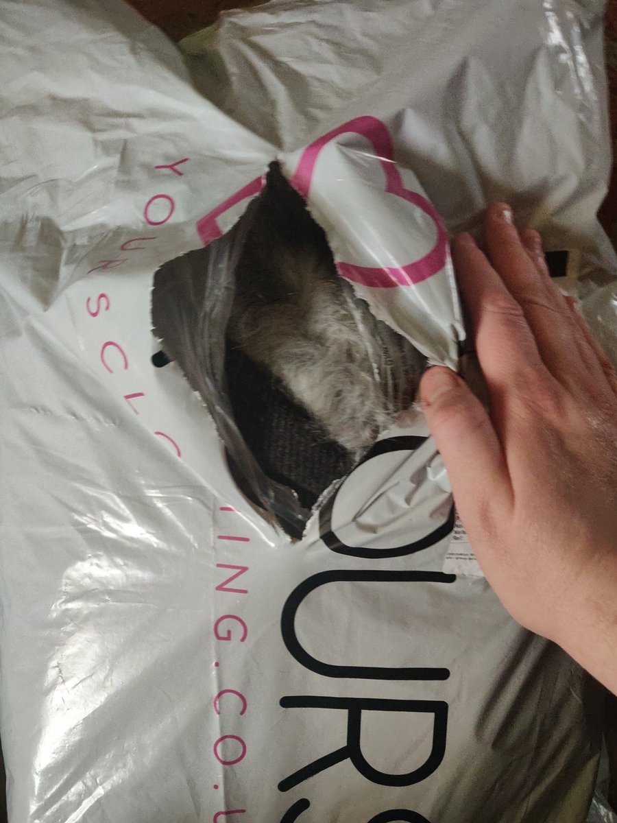 orlaith_k00's tweet photo. @GLS_Ireland this is how this was delivered to me this morning. The driver left very quickly. Is this a joke? https://t.co/H3EVE6i3Lq