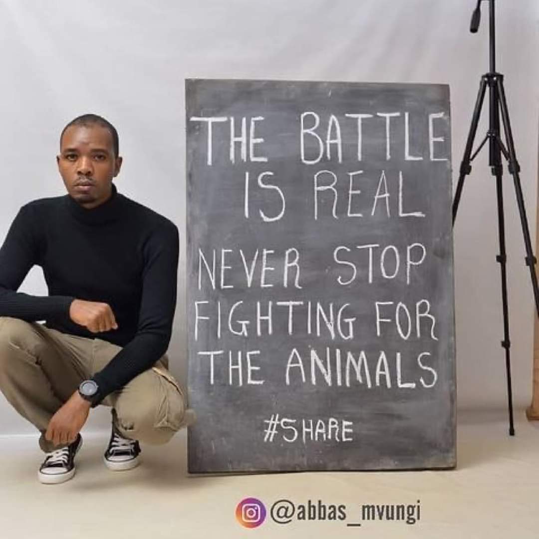 If we don't fight for the animals then who will? If we don't fight for them right now then when? I am thankful and grateful for those who do.🙏🏻🐾🌱
