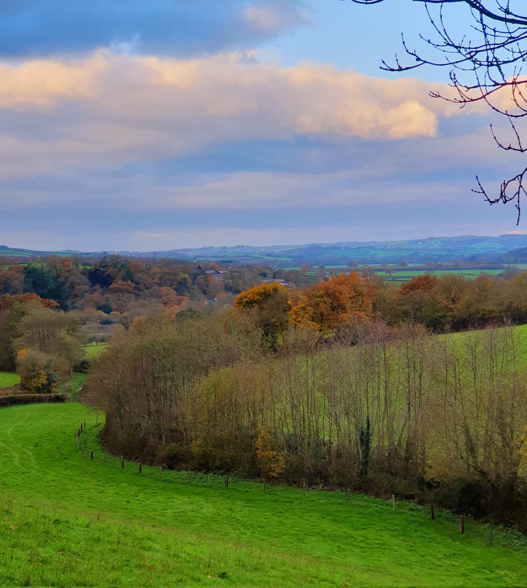 hjgough's tweet photo. Today reviewing Umberleigh- South Molton 2 (UmbSou2) for #SlowWays. As @timryansummit2s has already reviewed, we should snail it today. Its flippin' cold tho! #brrr #Umberleigh #SouthMolton #Devon #snail #winterwalk #DogsUsingSlowWays https://t.co/AaSEH0Wz3n