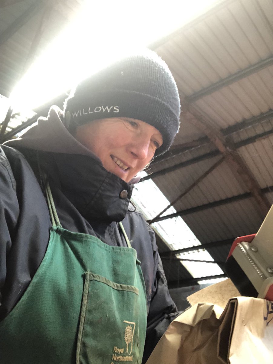 First proper frost this morning! ❄️ The packing shed is freezing so the woolly hats are on, Keith is grading and Rachael is packing, but finding it hard with cold fingers! #jonestherose #cheshireroses #britishgrown #mailorder #bareroot #pottedroses