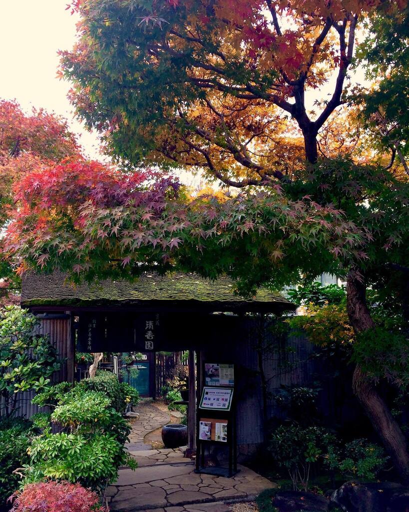 Japanese plant shop 
#bonsai #japanesearchitecture