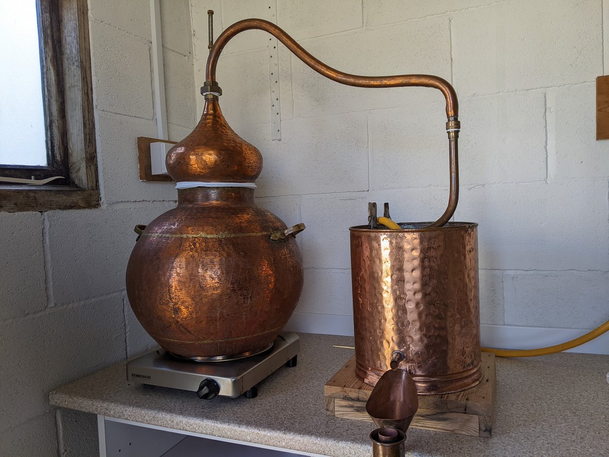 AdventMarket's tweet photo. It's exactly a week to go until the #DuxfordAdventMarket. We welcome back Matt from Merywen Giin @TheWelshSpirit with his unique batches, created from natural ingredients sourced in North Wales. Come early to avoid disappointment - these will be gone in a flash. Cheers! 🍸 https://t.co/1vFqWkS3DY
