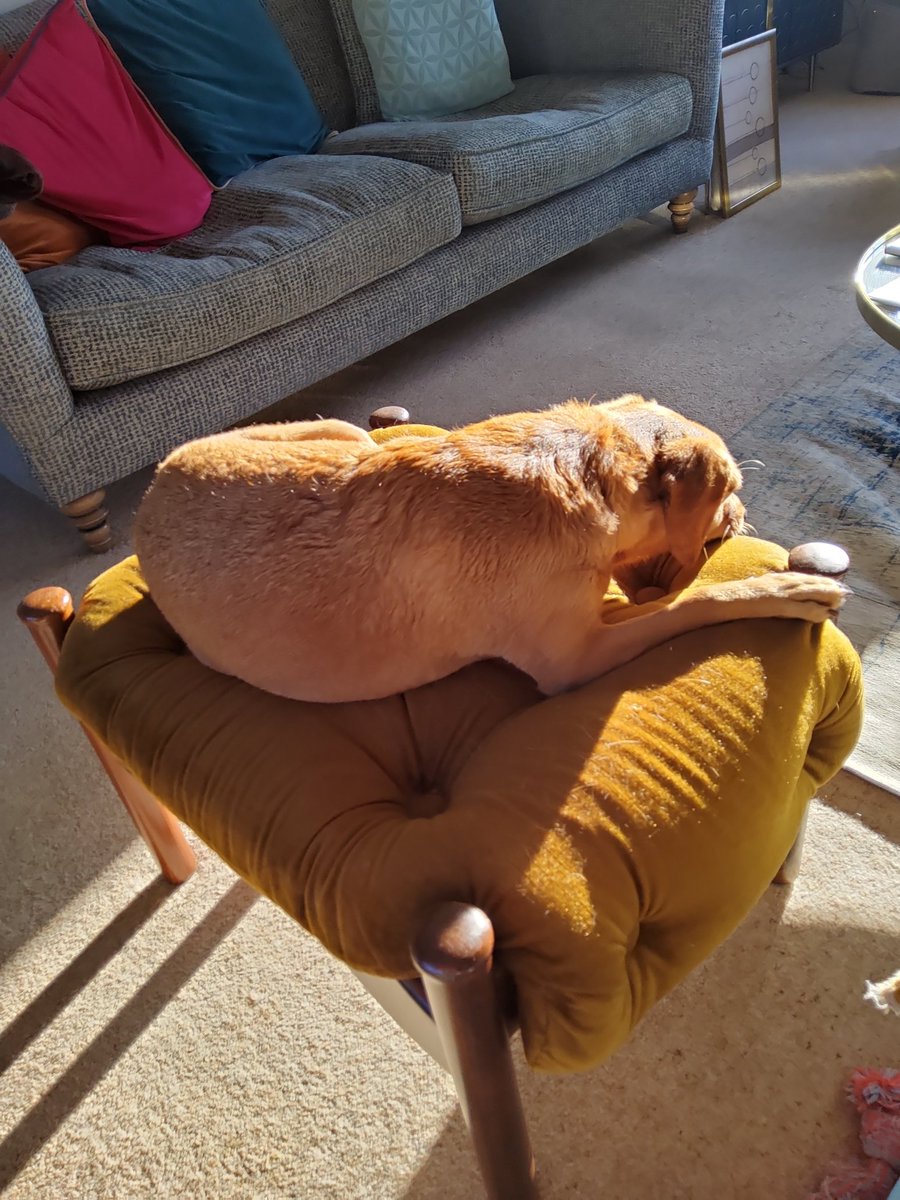 PIP KANSO tweet media