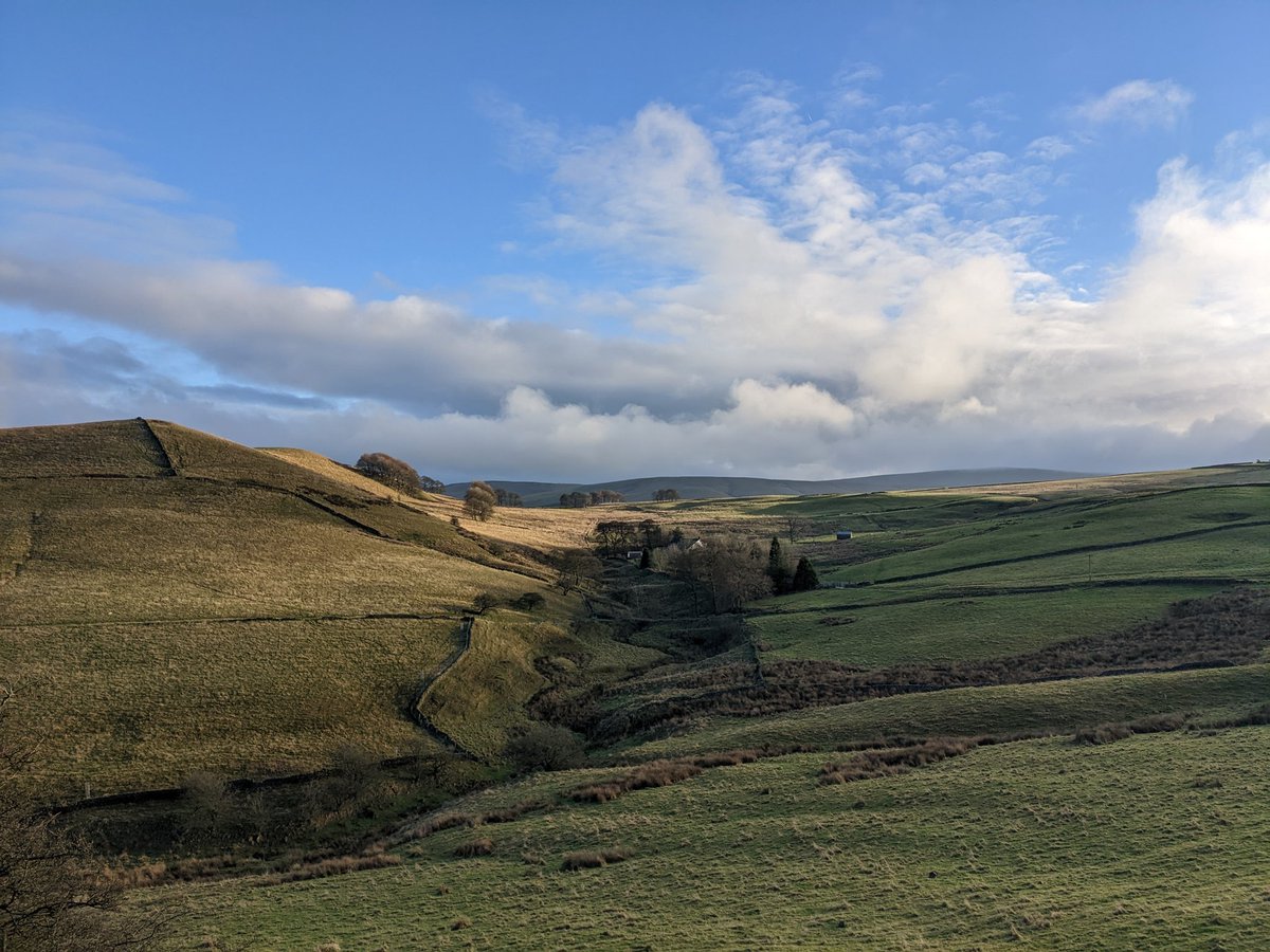 House of the rising sun.