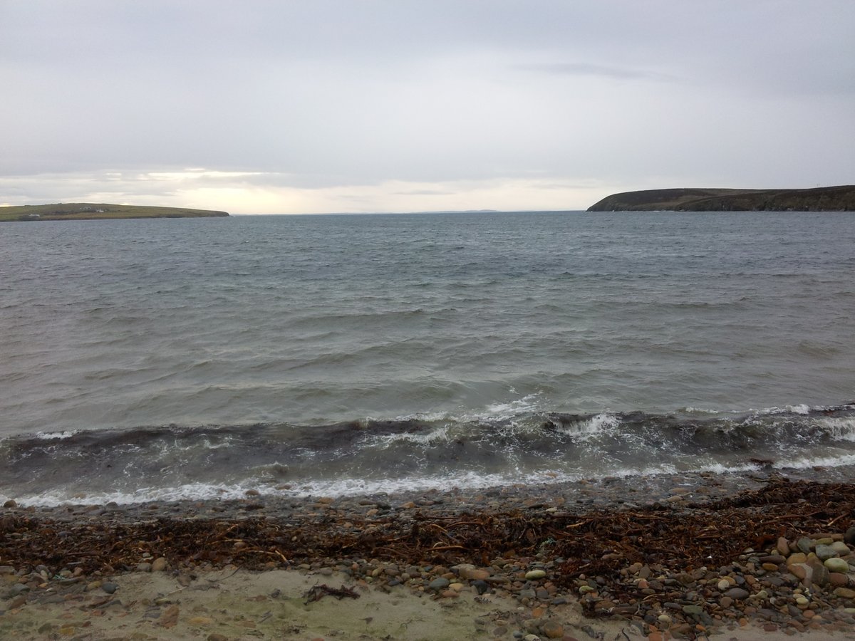 manonabeach's tweet photo. What the #beach means at #Widewall Bay #SouthRonaldsay on #Orkney in #Scotland, with @deer_distillery - https://t.co/dI88d9Ov9o https://t.co/8LNhusMC60