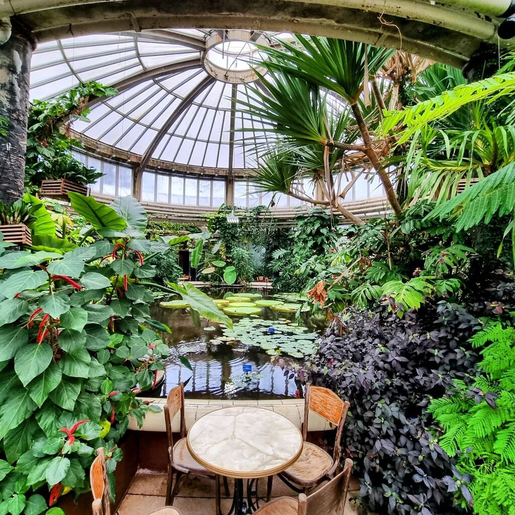 Take a seat in the jungle