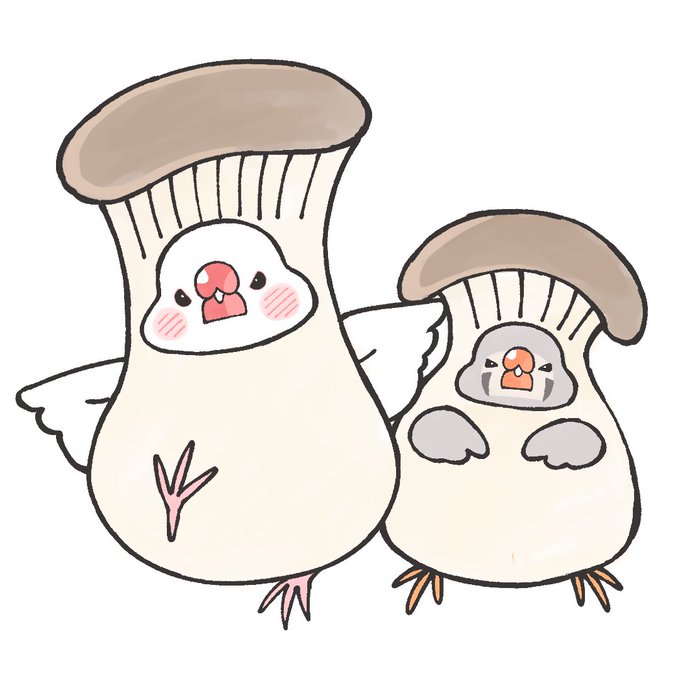 エリンギだよ〜#文鳥 #キンカチョウ 