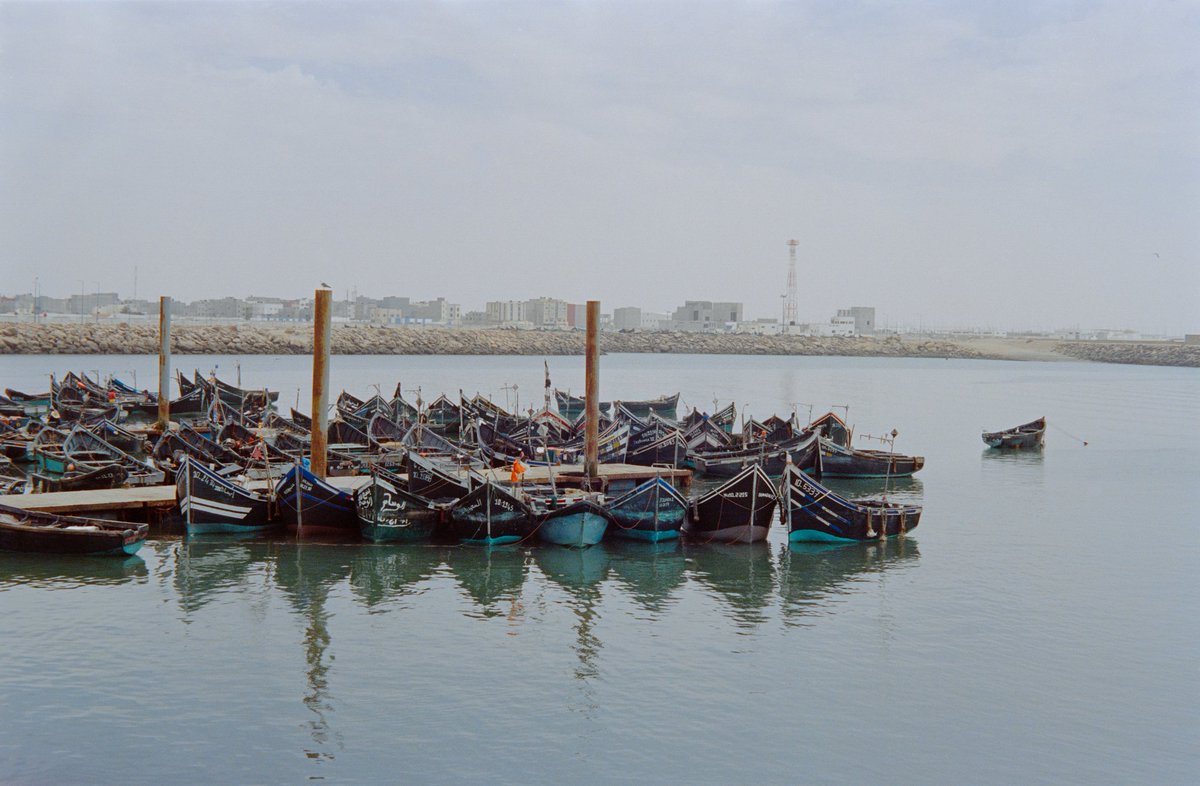 YASSINEELATTAR5's tweet photo. Tarfaya, may 22
#filmphotography #portra400 https://t.co/F24Haukb1N