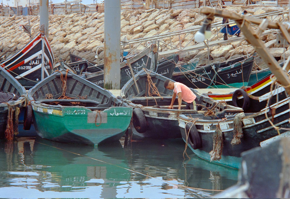 YASSINEELATTAR5's tweet photo. Tarfaya, may 22
#filmphotography #portra400 https://t.co/F24Haukb1N