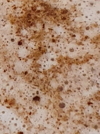 And now its time for today's #OctoPush #OctoWeird #MysteryPic - too easy Octopi, you will all get this one!!!!

As always, a place in Octavia's hall of fame for correct or funniest answers. Bonus octopus kisses for likes, RTs and comments.